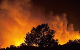 大火對森林生態系的長期發展，事實上是有利的，把過多的生長一次清理乾淨。圖為2012年9月在約旦某森林的一場大火。Getty Images