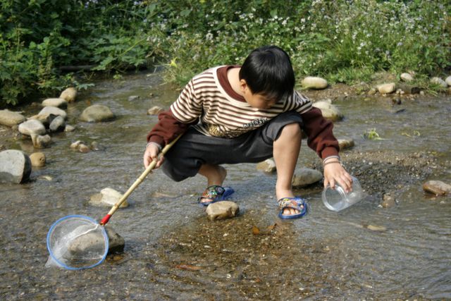 整治後的小溪溪水清澈，吸引小朋友來撈魚蝦。