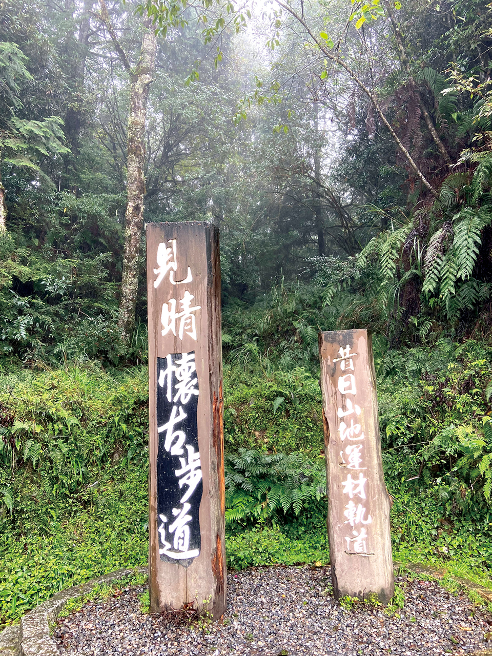 原為「見晴線運材軌道」，軌道廢棄後整建為觀光步道。