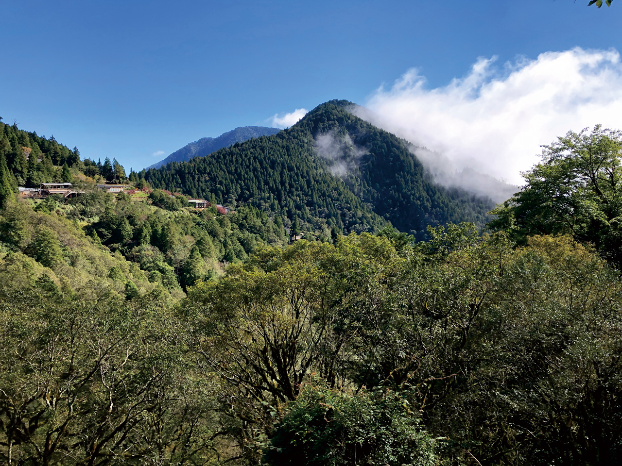 遠方山巒疊翠，雲霧繚繞。