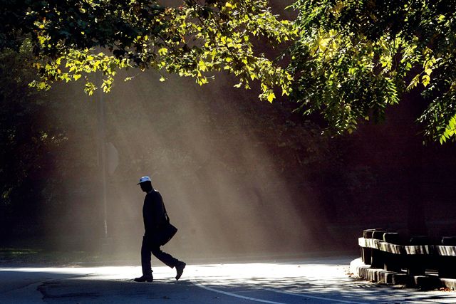 紐約中央公園是散步的絕佳去處。Getty Images