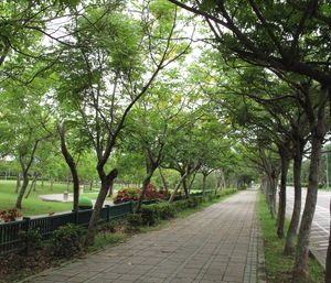 在台中都會公園遇上悠閒 看雜誌