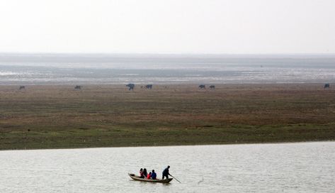 鄱阳湖「老爷庙」水域变身「百慕达」