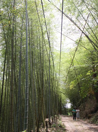 輕鬆踏青水里鄉