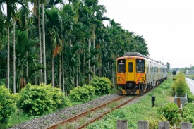 有機會與集集線觀光小火車「並駕齊驅」是另一種騎乘樂趣。